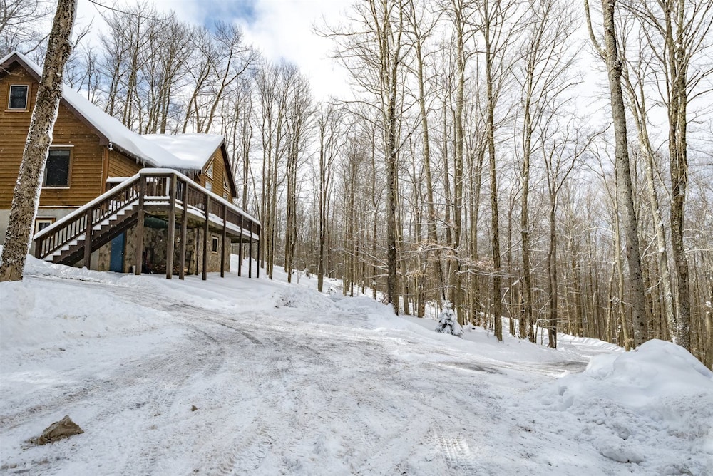 Bearfoot Lodge view 4