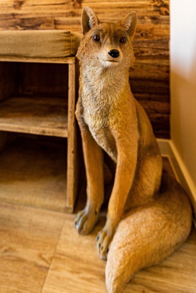 Fuchsbau view 5