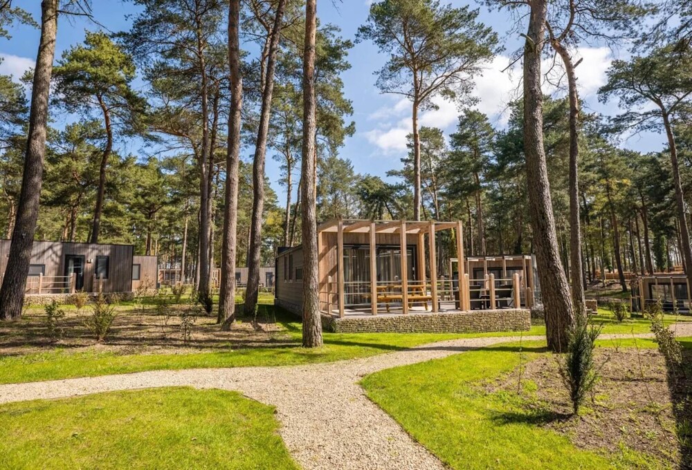 Peaceful Stay Near the Woods