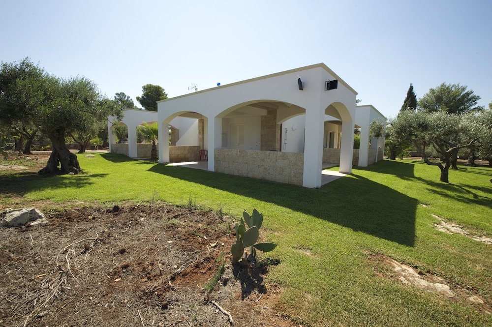 Photo 41