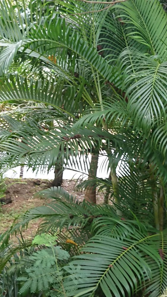 A Peace in Paradise