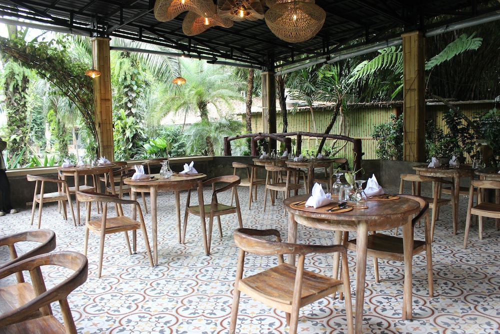 The Jungle Pots