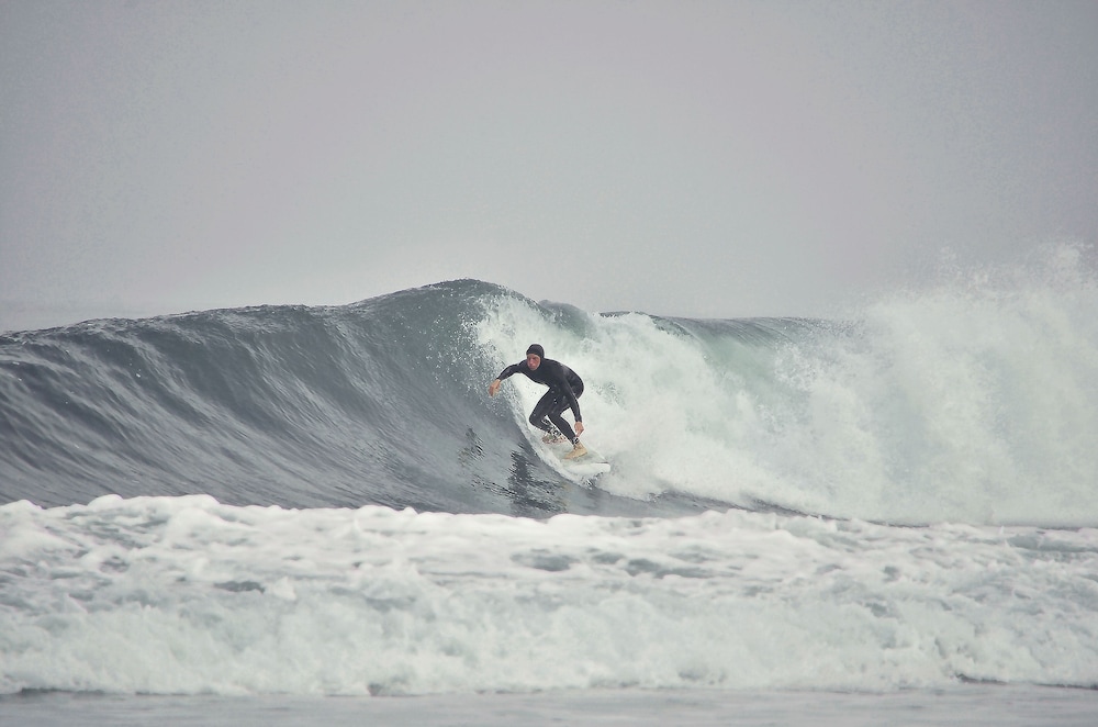 Salty Jackal Surf Camp