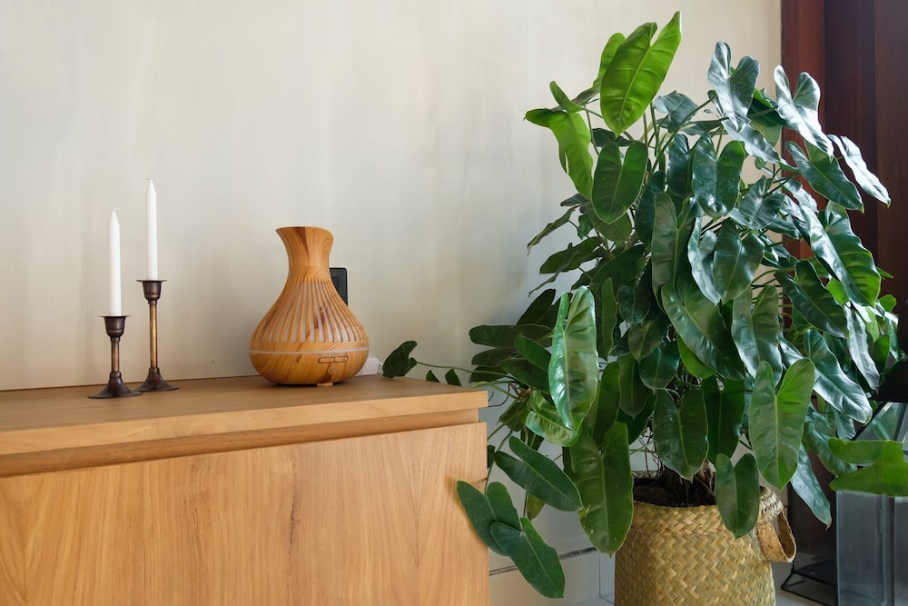 Madeira Casa Canggu Bali