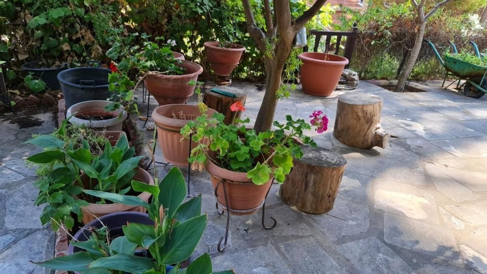 Charming Villa in Moniatis, Cyprus - Private Pool & Garden