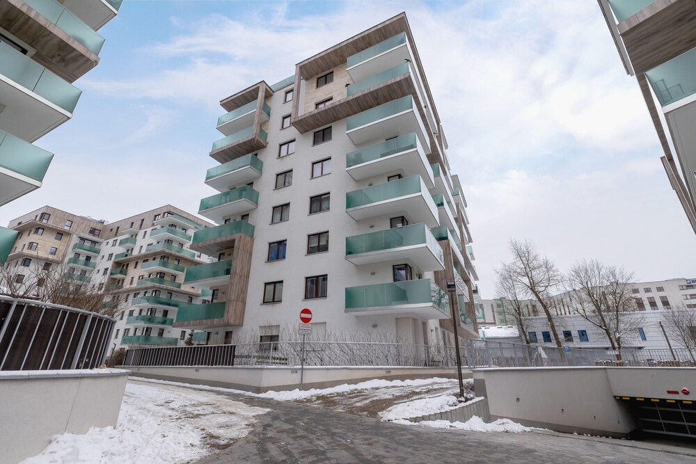 Subtle Grey Apartment by Renters view 2