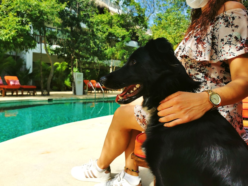 Kimpton Aluna Tulum, an IHG Hotel - Property Image 88