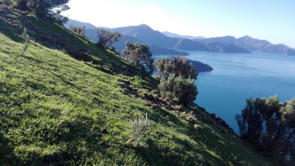 Photo 21