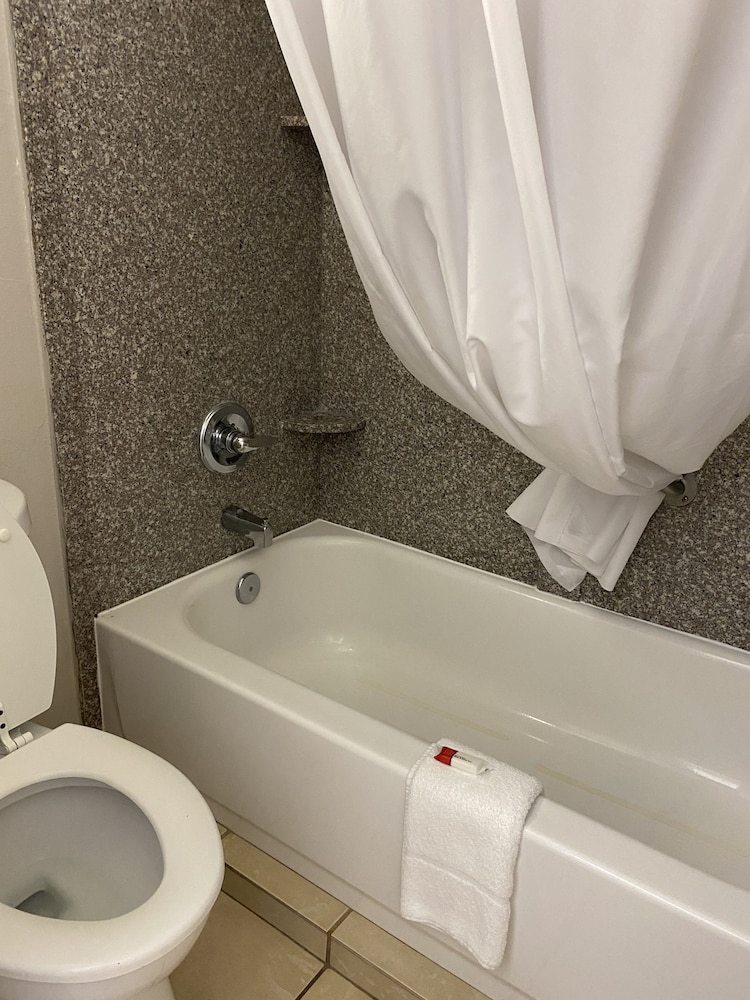 Brunswick Vacations - Days Inn by Wyndham Brunswick/St. Simons Area - Property Image 6