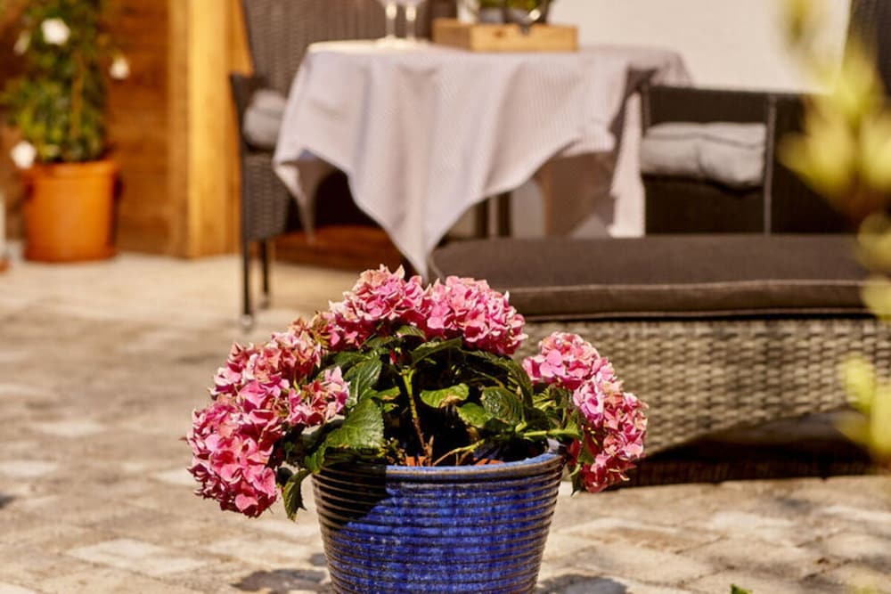 Holiday Apartment in Bavaria