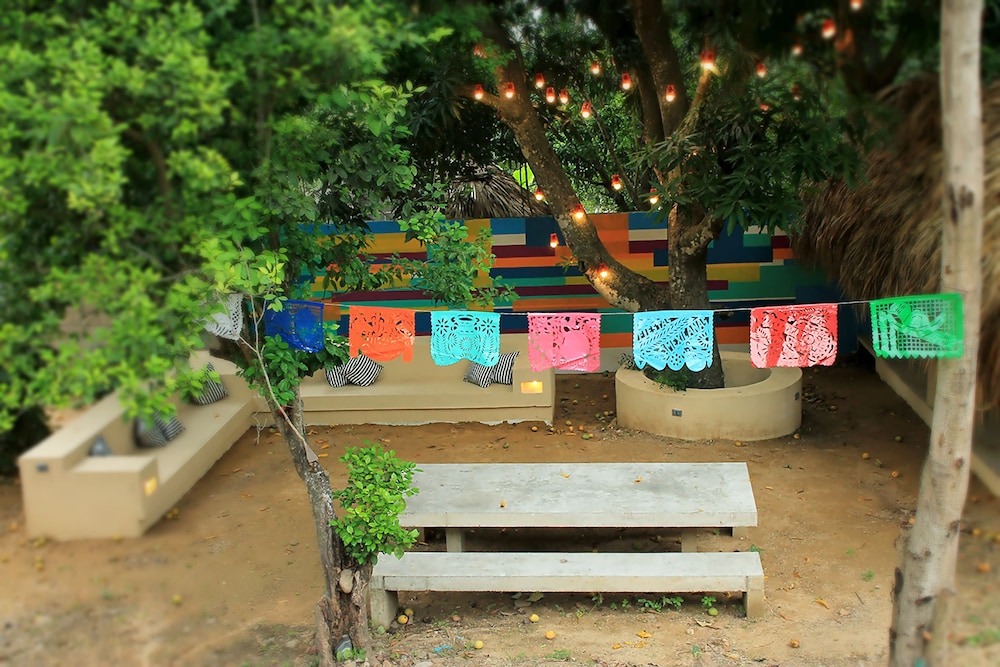 Color Hostel Palomino