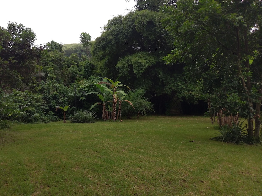 Photo 42