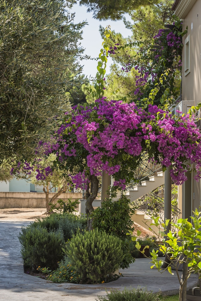 Hotel Thalassa Boutique Hotel - Adults Only - Image 1