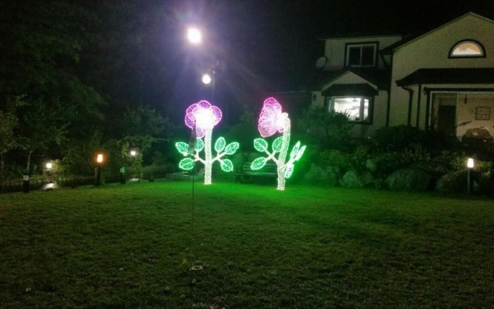 Photo 18