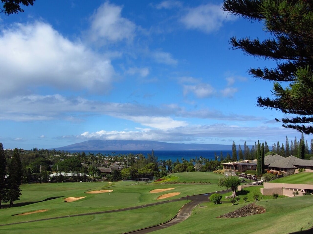 Kapalua Bay Villa 28b2 Gold Ocean Front - Image 3