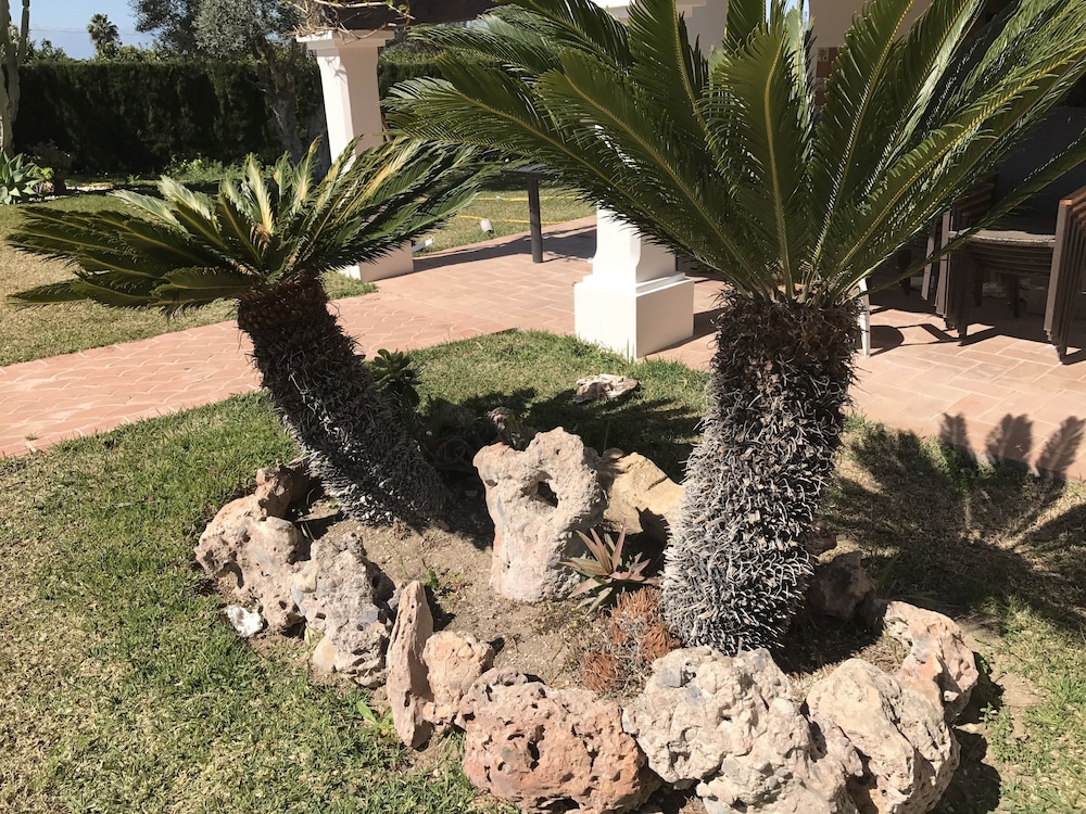 B&B Cortijo Andaluz