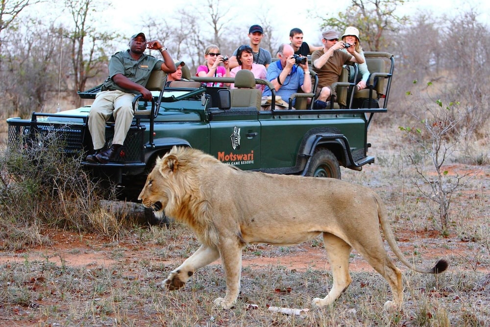 Motswari Private Game Reserve Resort by NEWMARK