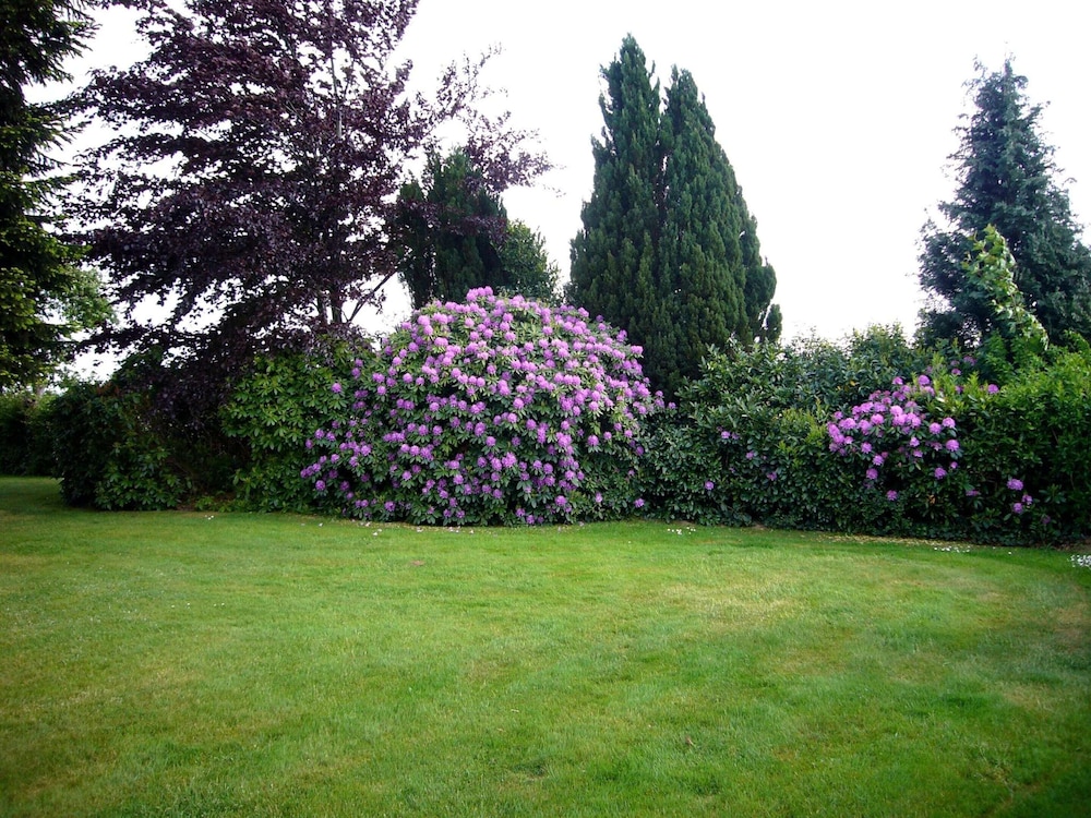 Photo 29