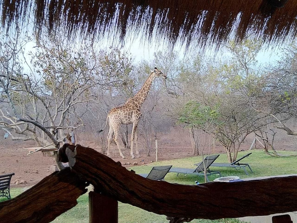 Call of the Wild Lodge