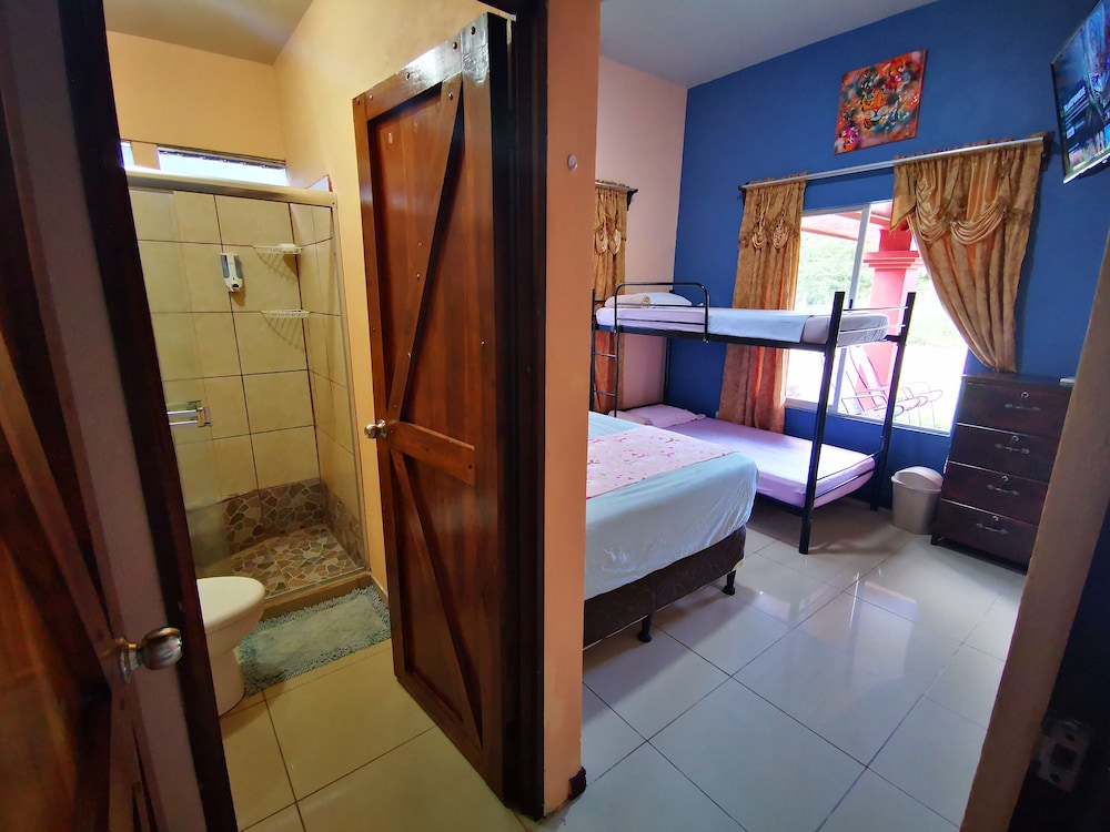 La Palmera Real view 5