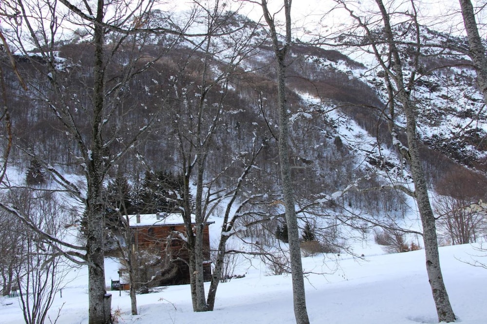 Photo 44