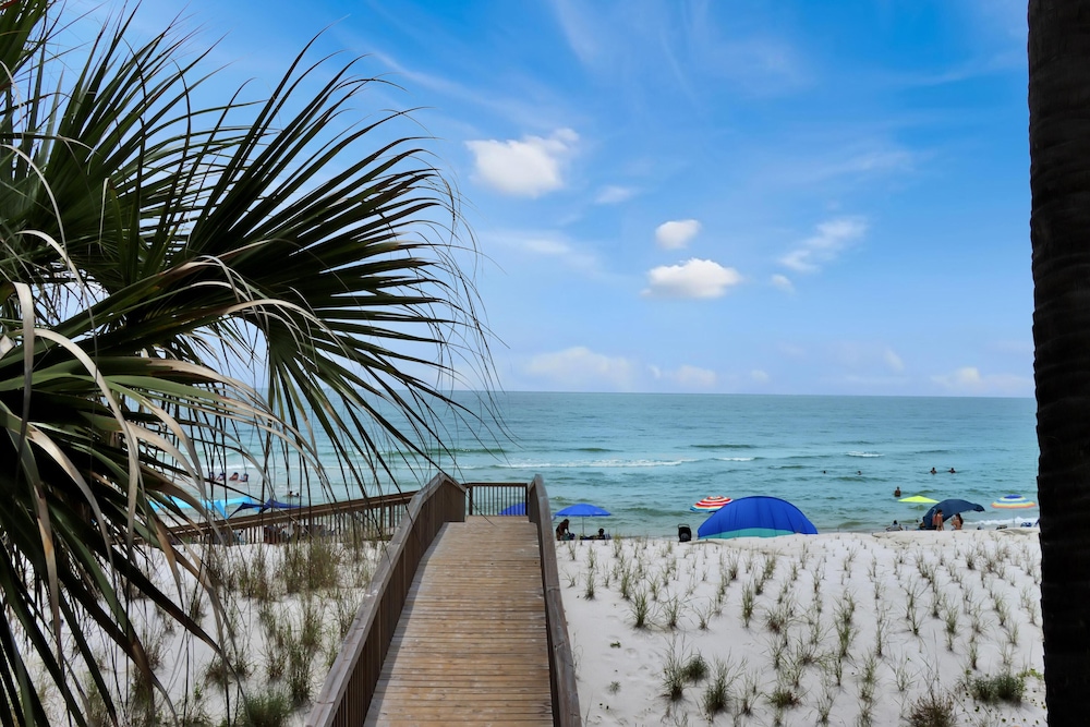 Barrier Dunes 156 - 11 Sand Dollar Dreams