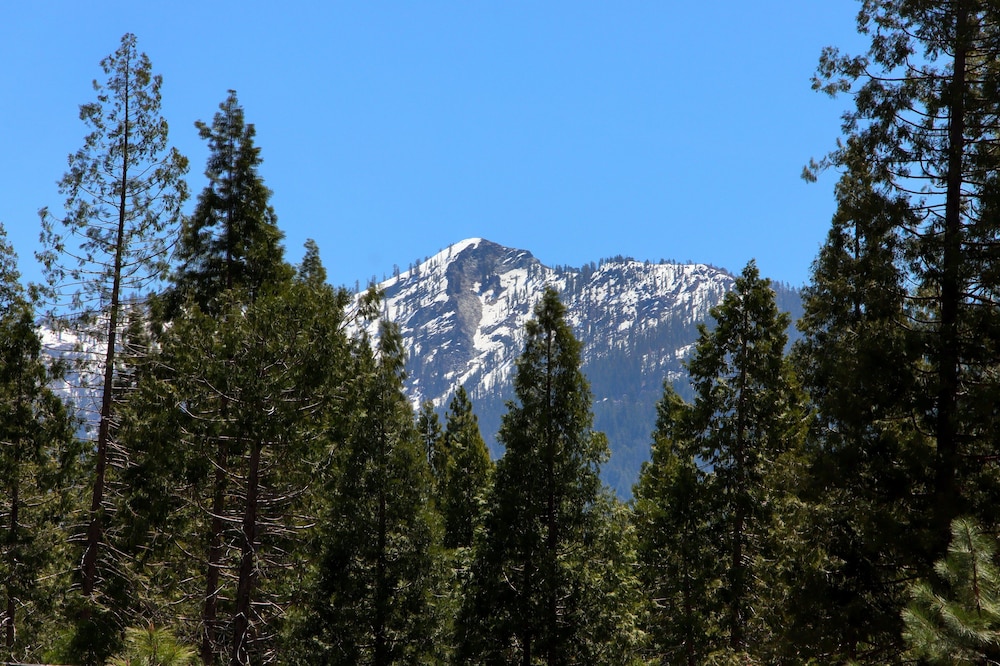 Quail Meadow
