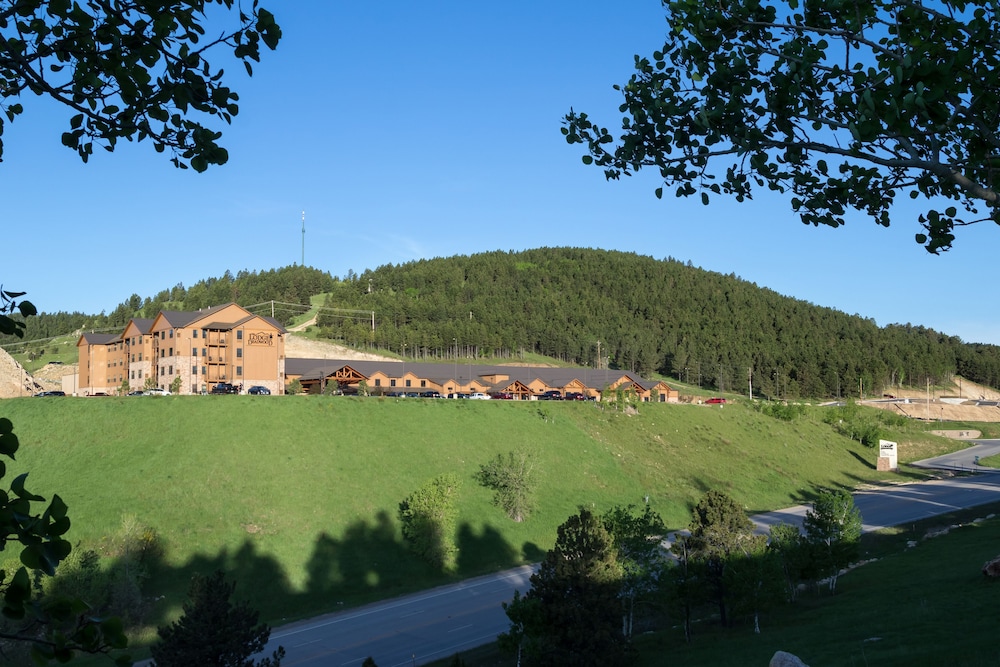 Photo 44