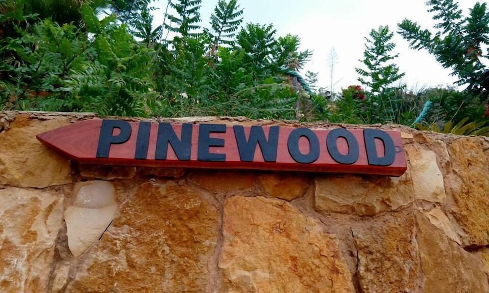 Pinewood Hotel view 4