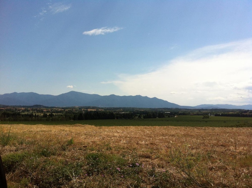 Photo 31