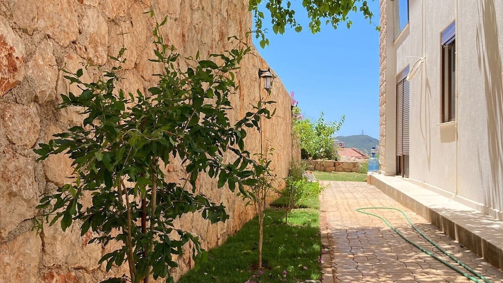 Photo 7