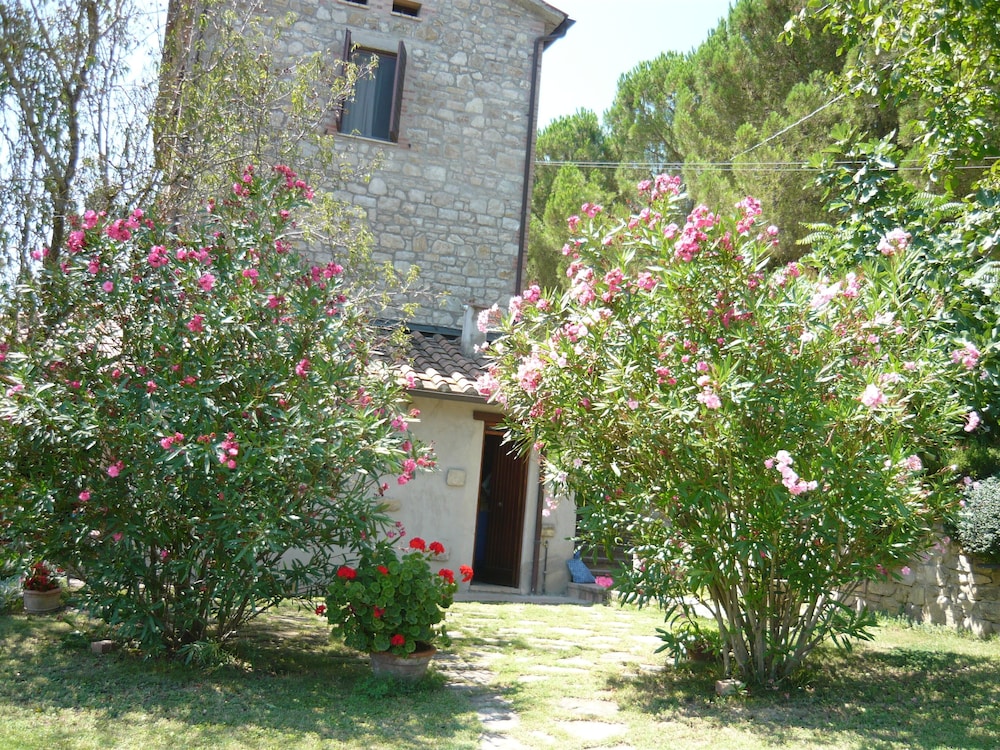 Photo 14