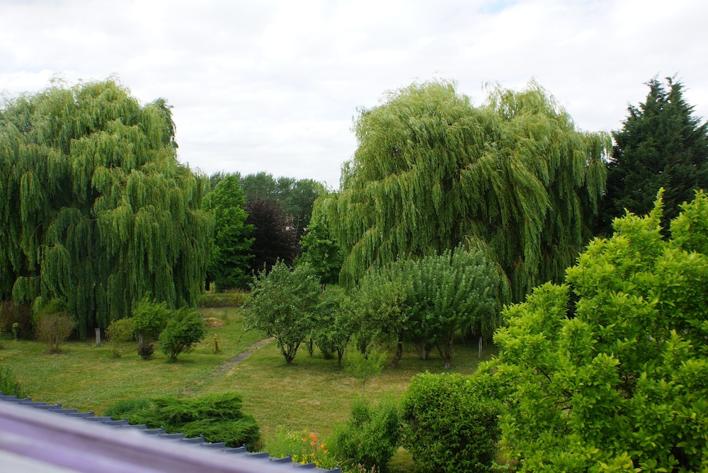 Photo 41