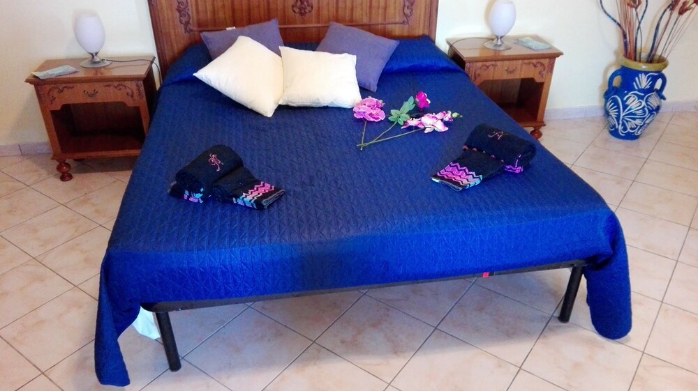 Paradise Bed & Breakfast photo 2