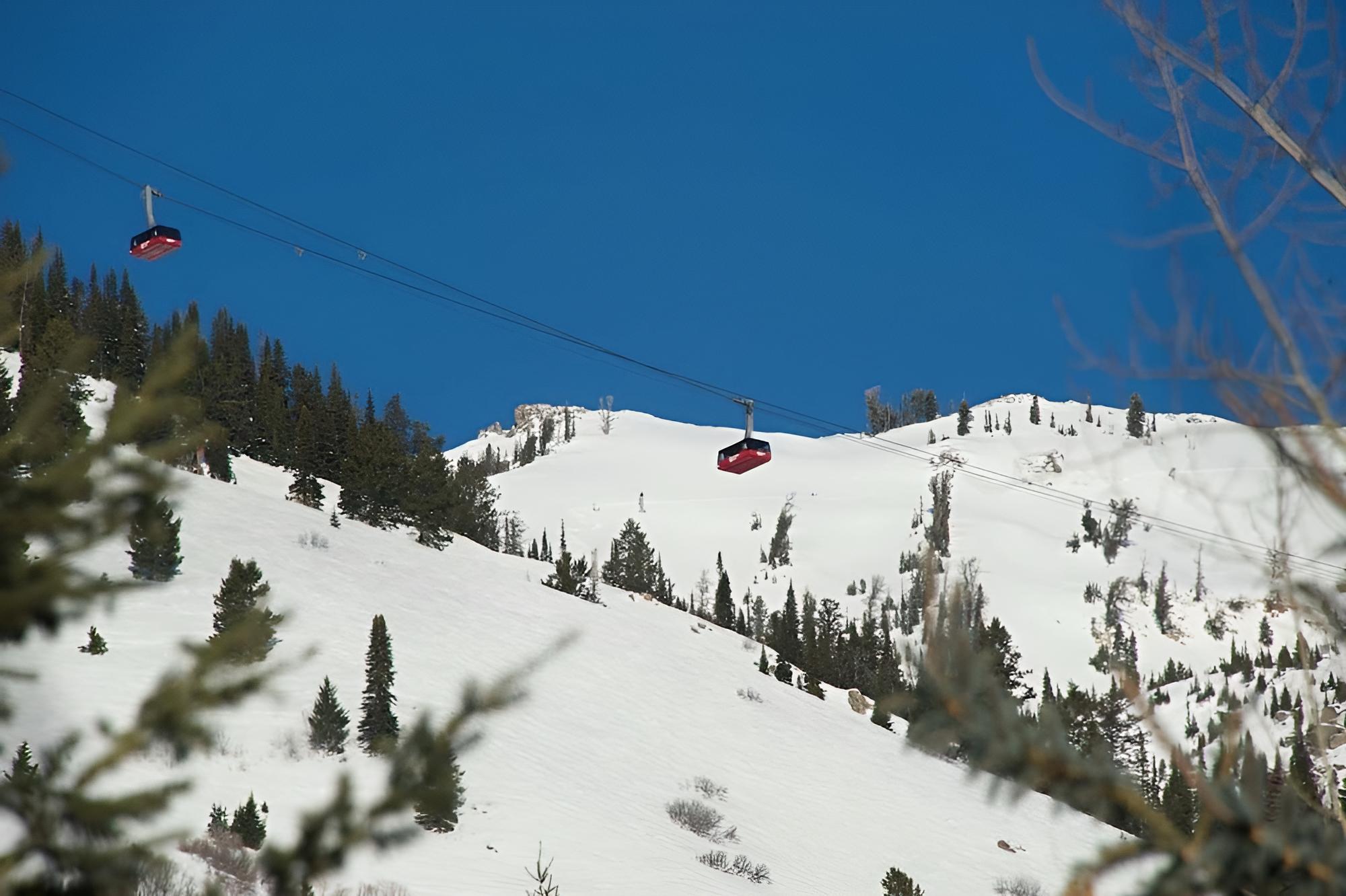 Teton Village Vacations - Moose Creek by JHRL - Property Image 29