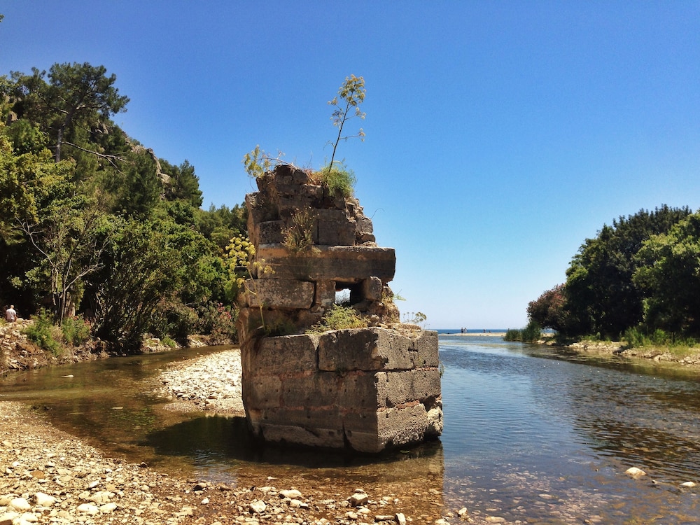 Kadir's Tree Houses
