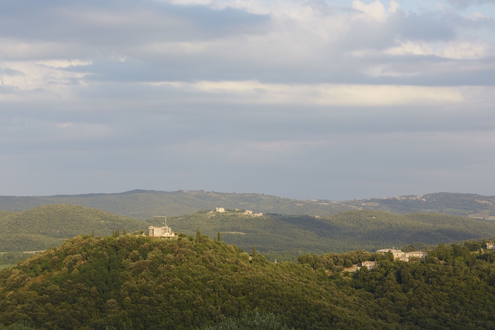 Azienda Agricola Montestigliano