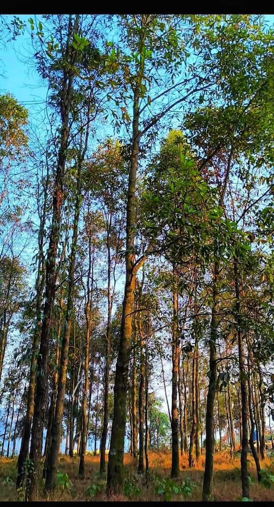 Infinity Viewpoint Homestay