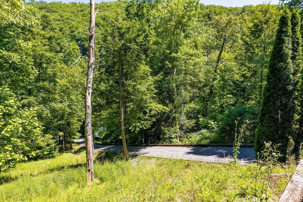 Dog Friendly Secluded Cabin W Hot-tub Sleeps 12