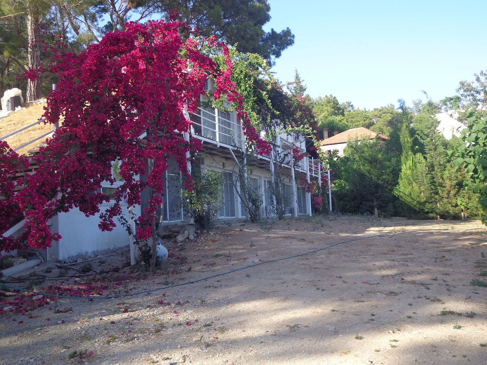 Farmhill Pension view 4