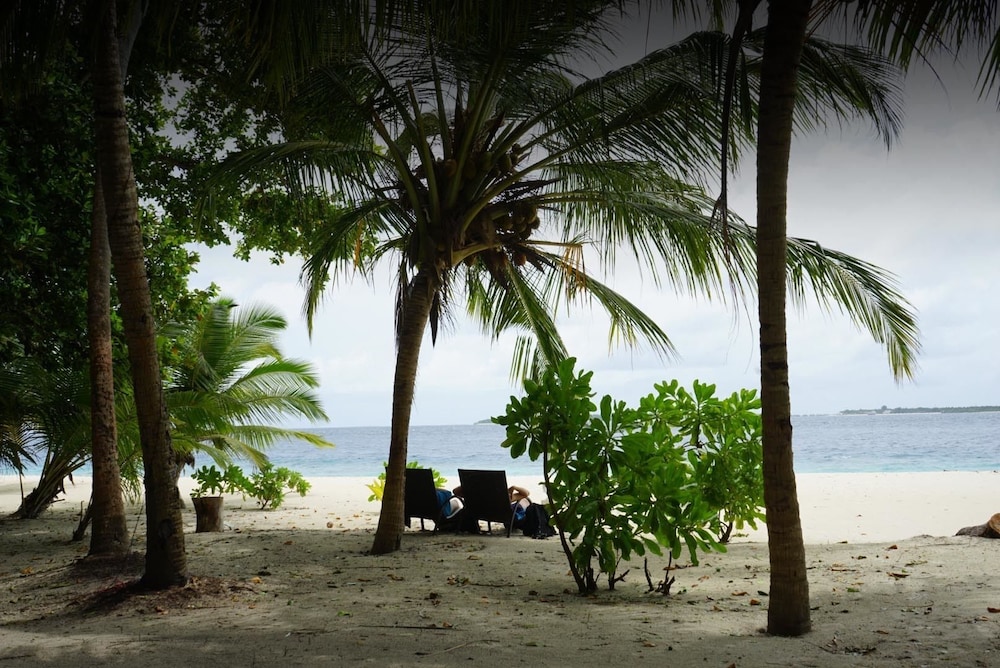 Coral Cove Maldives