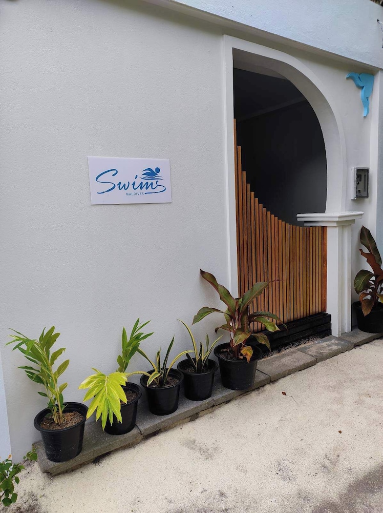 swims maldives