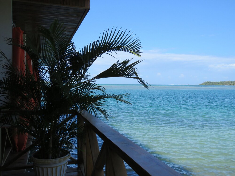 Hostel Mamallena Bocas del Toro - Adults Only - Property Image 5