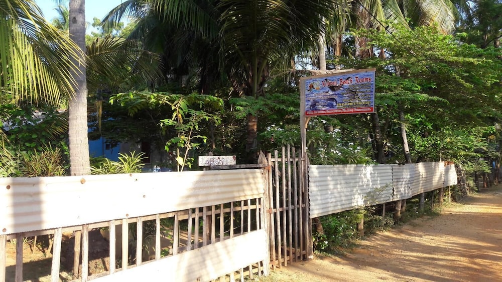 Photo 43