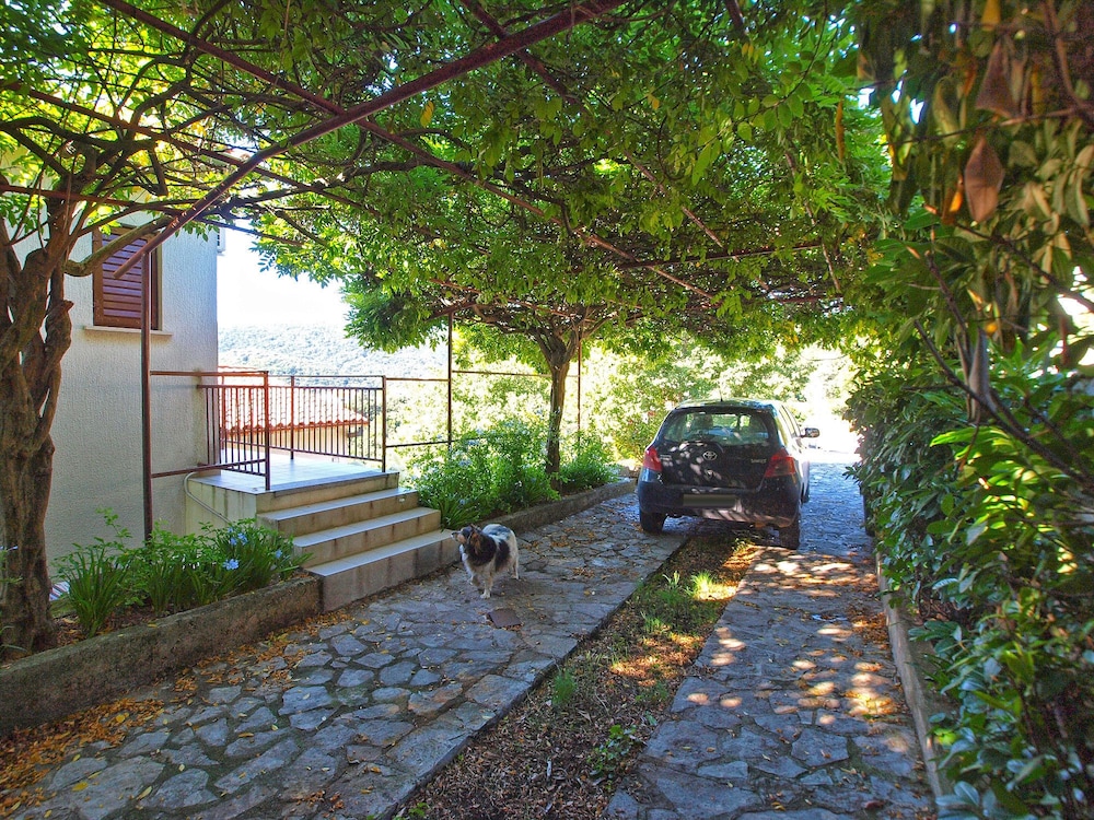 Apartments Marisa 981