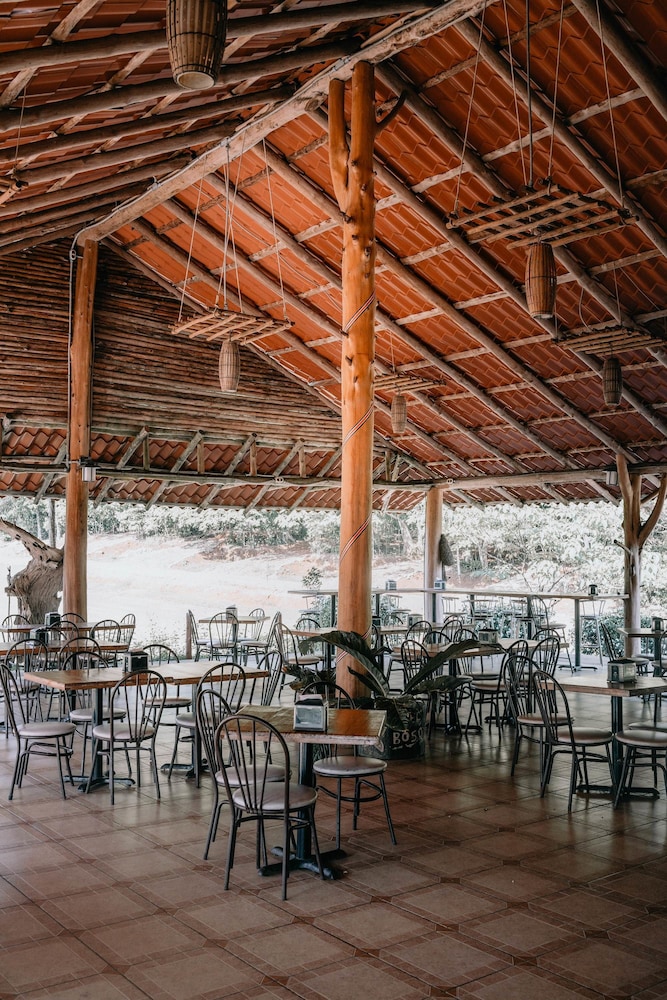 Hotel del Bosque
