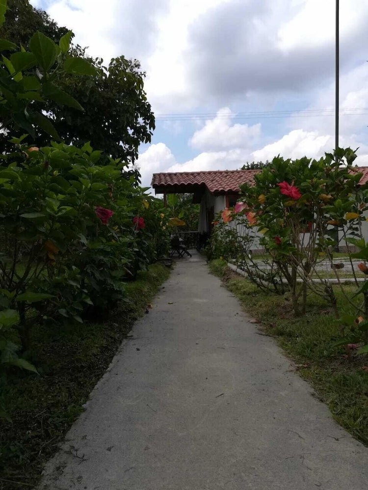 Photo 37