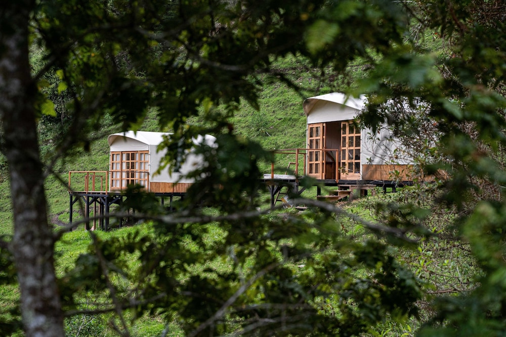 Finca Los Arboles