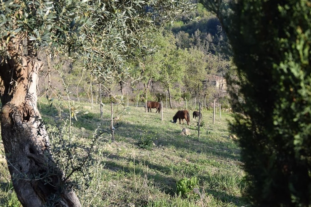 Feudi Enchestre B&B, Bilde 32