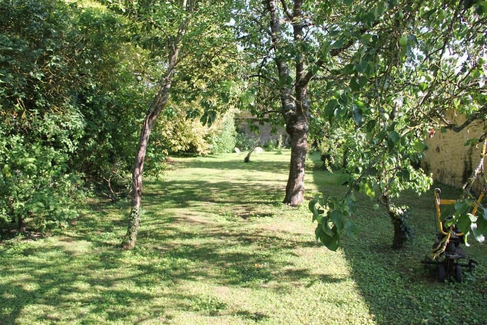 Photo 41